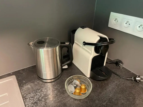 Luxury apartment Trio Harrachov A.2