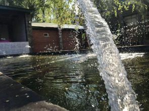 Ноев Ковчег