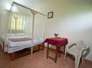Cuba Retreat Mandrem
