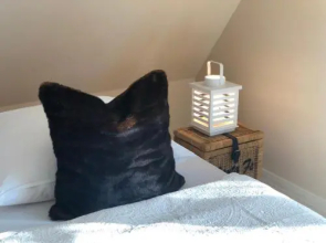 Ferienwohnung Pleissenhaus