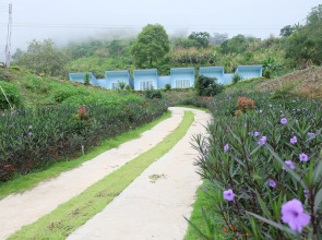 Phu Mork Resort