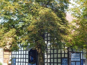 Hotel & Restaurant Markthof Satemin