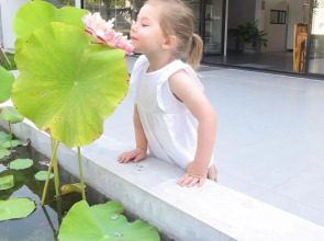 Amadha Villas Retreat