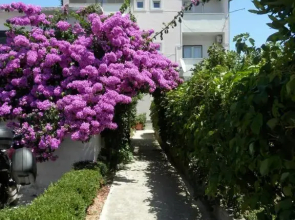 Apartments Leonarda