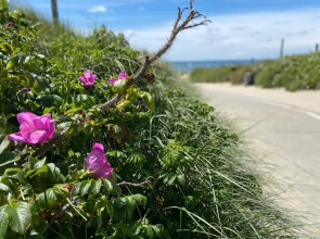 Reddingshuisje by Droomvilla