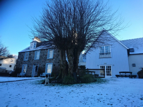 The Lime Tree