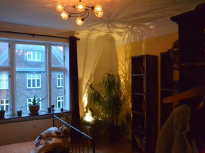 Sunny and charming loft