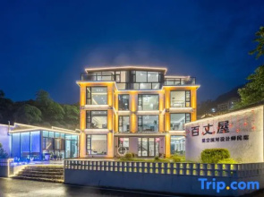 Anji Baizhangwu Suyeshan Luxury Light Travel Pool Resort Hotel (Tianmu Mountain Drifting Branch)