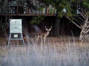 Outdoorsy Hill Country