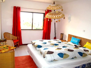 Luxury Apartment