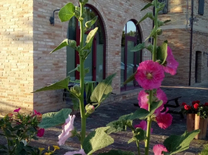 Agriturismo Forestale Luti
