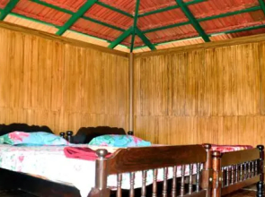 Blossom Home Stay