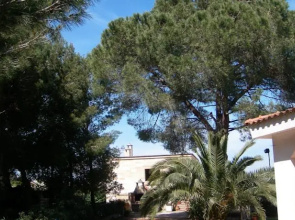 B&B Il Pino
