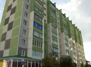 Apartment North on Sovetskaya str., 88