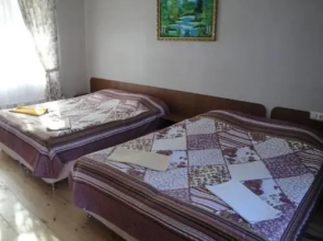 Guest House Teremok 1