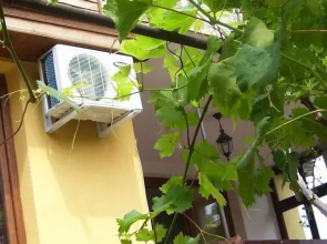 Guest House Denitza