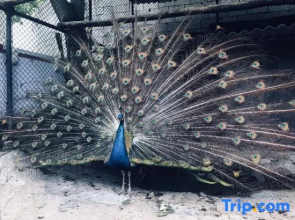 Jiuzhaigou Forest and Water, Light Luxury and Beautiful Accommodation