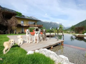 Apartment Steinplatte Waidring Kitzbüheler Alpen