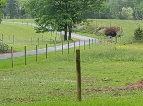 Mountain Valley Farm