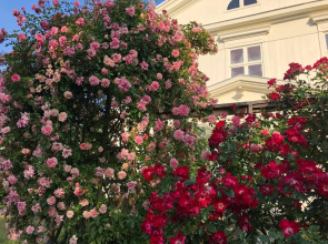 Amiralsgården Werstorp