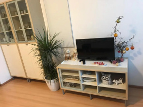 Living Apartment Central