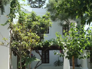 Mimosa Apart