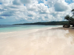 Panda Beach II