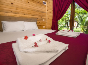 Likya Evleri Olympos