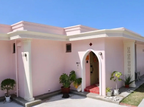 Pink Shell-ter