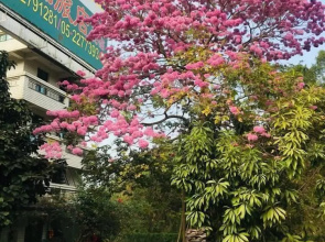 Rural Area Hotel