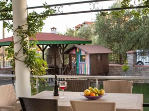 Villa Vas