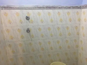 saffron guest house & hostel