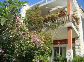 Dane - Free Parking - A1