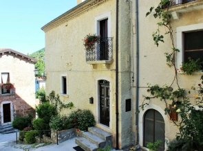 Orso - Parco Nazionale d'Abruzzo