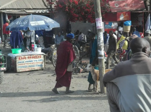 Kilemakyaro Mountain Lodge