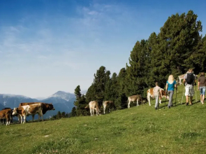Ferienwohnungen Haus Daheim
