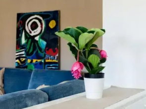 Lisbon Waves Surf Lodge