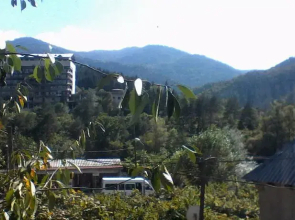 Borjomi Likani Homestay