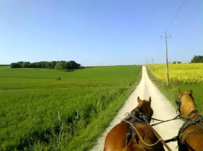 La Giuiaia - Agriturismo Azienda Agricola