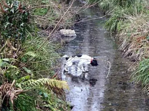 The Old Mill self contained apartment