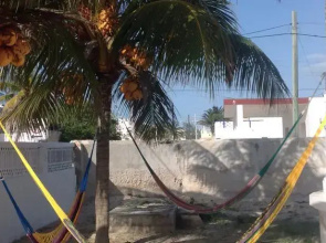 Zocalo Beach