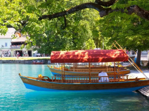 Amazing Apartment in Begunje na Gorenjskem With Wifi and 2 Bedrooms