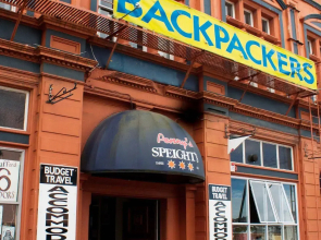 Geeky Gecko Backpackers