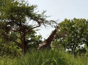 Arijana Just Heavenly Resort