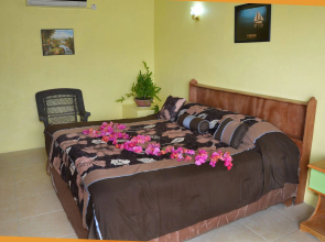 Tropical Paradise View