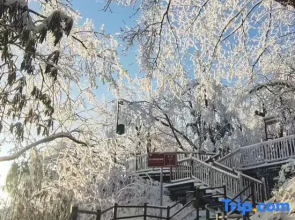 Wawushan 999 Xiaoju Farmhouse (Jinhuaqiao Cableway Branch)