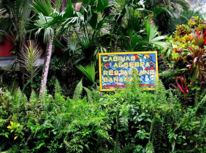 Cabinas Algebra