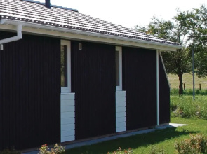 Friedrichskoog/deichblick 4