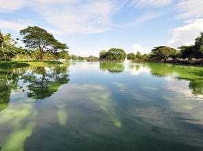 Golden Hill Tower Executive Apartments