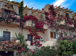 Niki Apartments